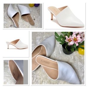 Pointed Toe Kitten Heel Mule